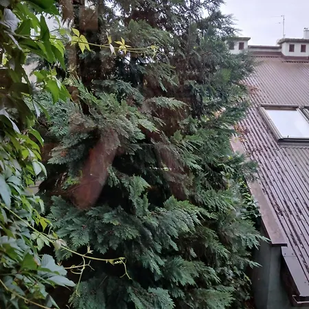 Grey House